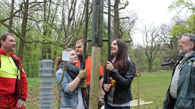 Vorarbeiter Alexander Hölzl (von links), Charlotte Probst, Jule Baumann, im Hintergrund Azubi Paul und Johannes Schempp beim Apf