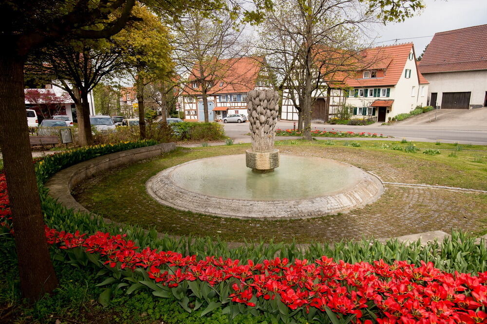 Tulpenblüte Gönningen 2012