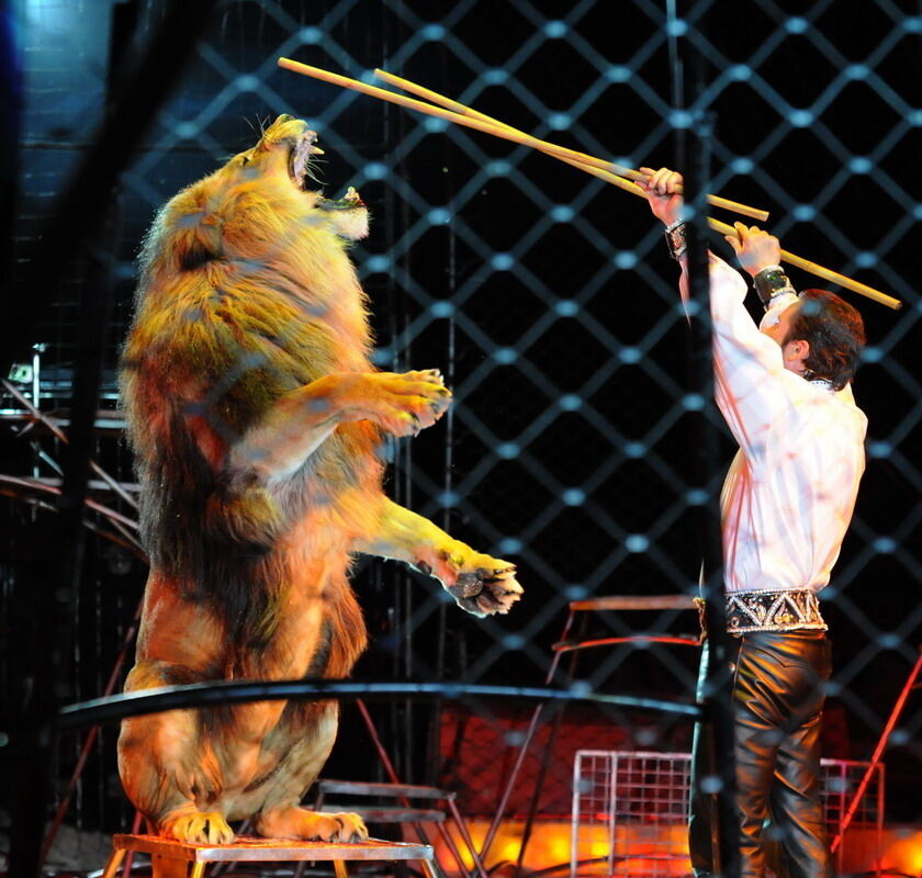 Zirkus Krone in Tübingen April 2012