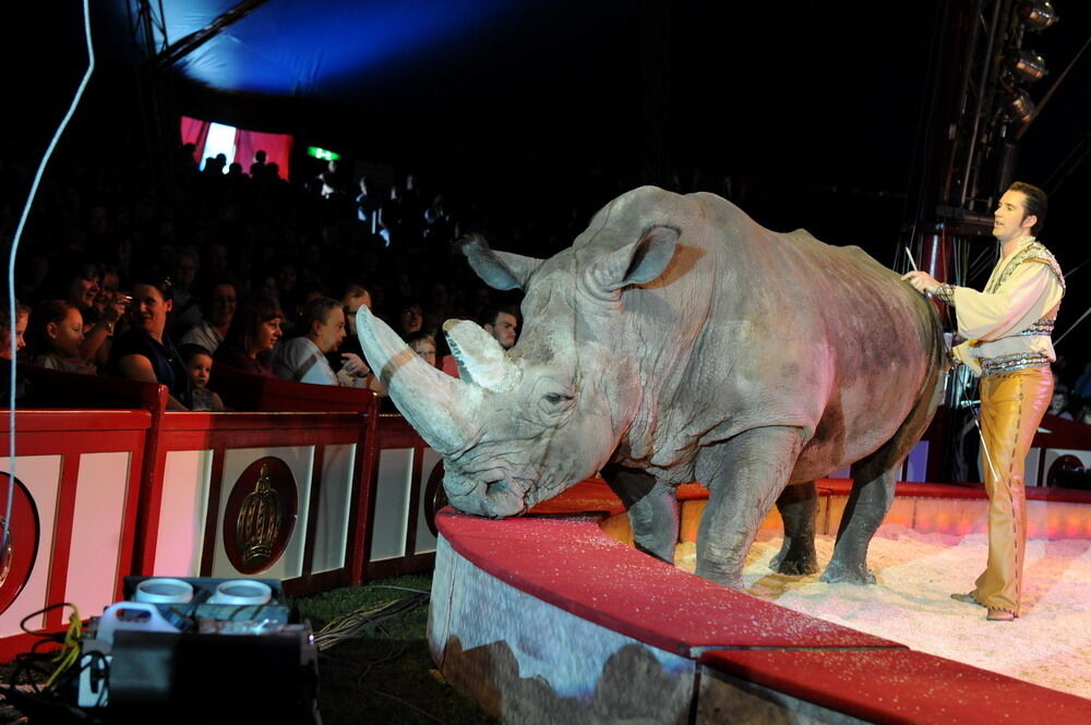 Zirkus Krone in Tübingen April 2012