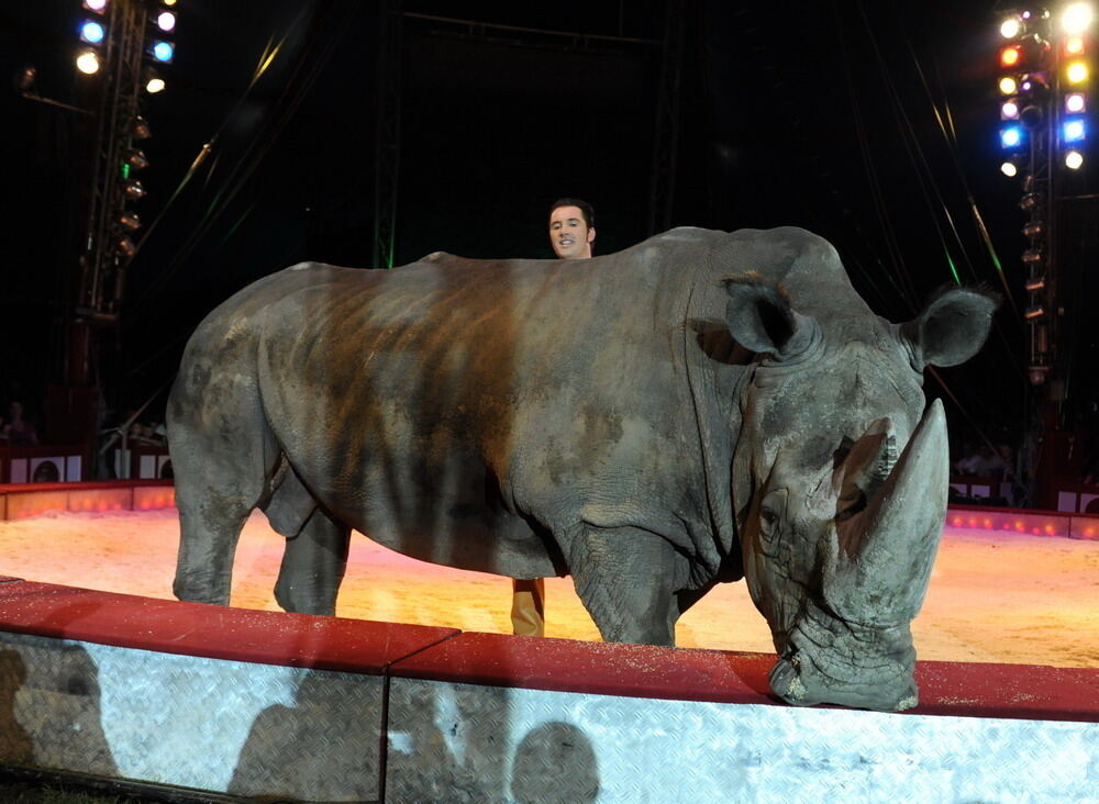 Zirkus Krone in Tübingen April 2012