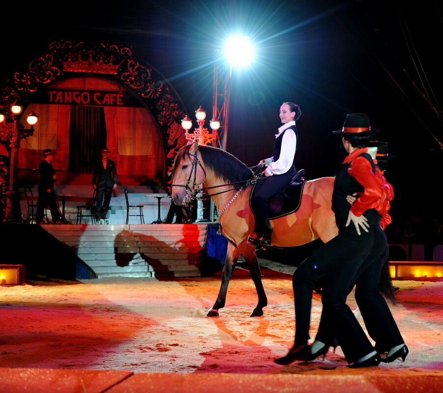 Zirkus Krone in Tübingen April 2012