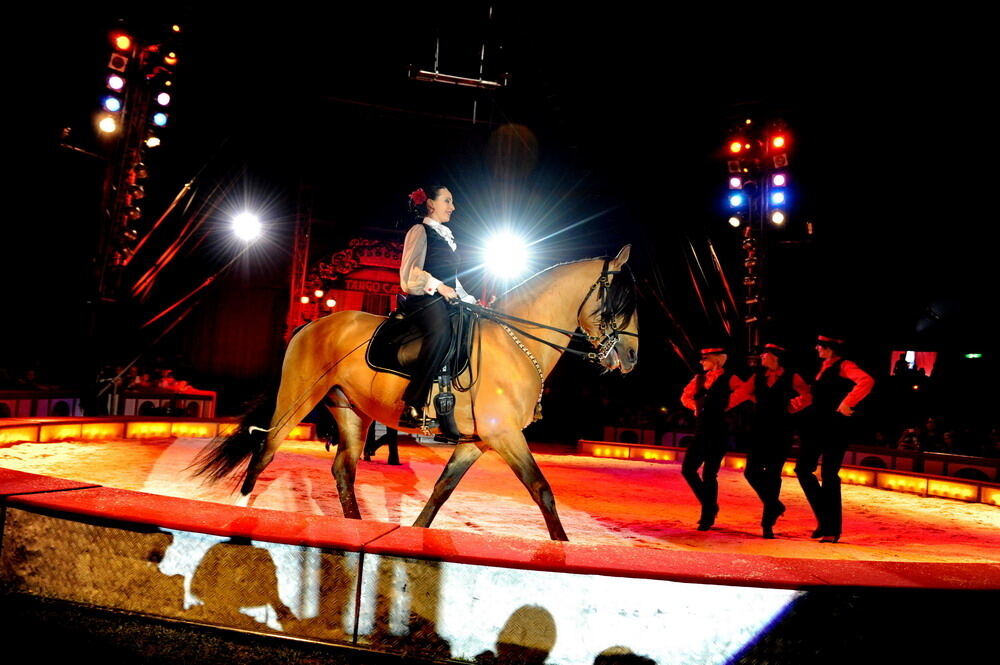 Zirkus Krone in Tübingen April 2012