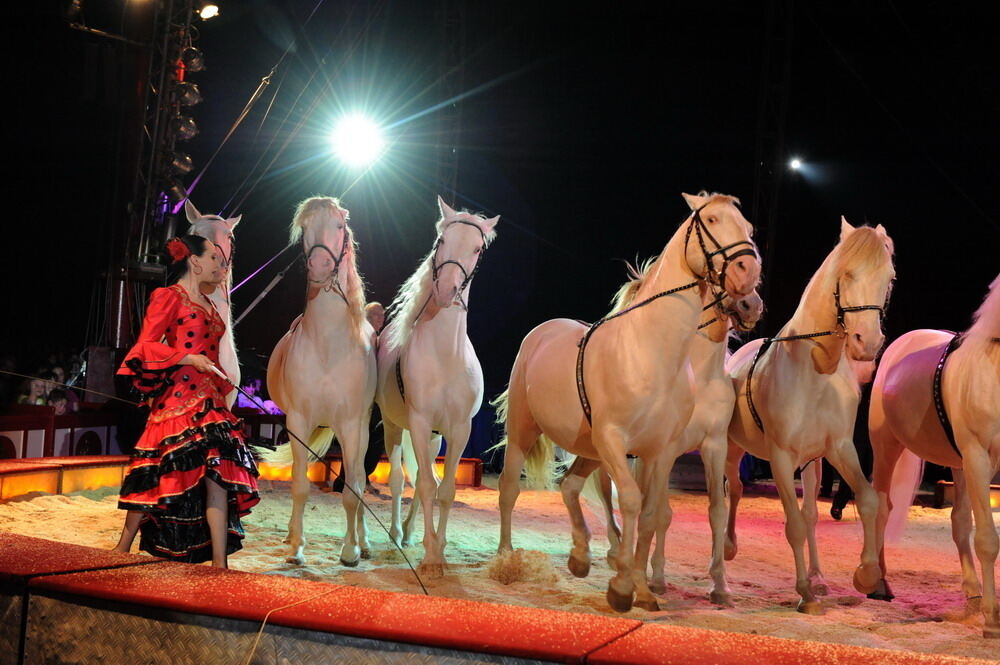 Zirkus Krone in Tübingen April 2012