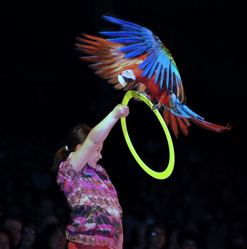 Zirkus Krone in Tübingen April 2012