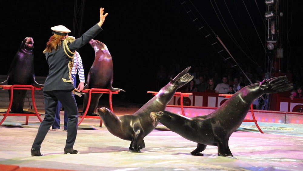 Zirkus Krone in Tübingen April 2012