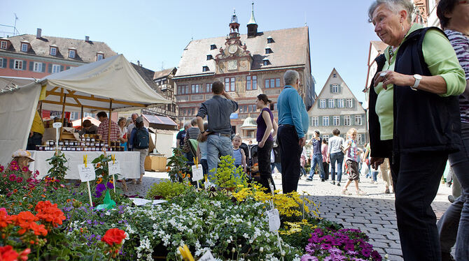 Regionalmarkt und Klimatag in Tübingen 2012