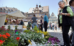 Regionalmarkt und Klimatag in Tübingen 2012