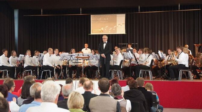 Die Gemeindehalle war voll zum Wertungsspiel des Blasmusikverbands. FOTO: SANDER