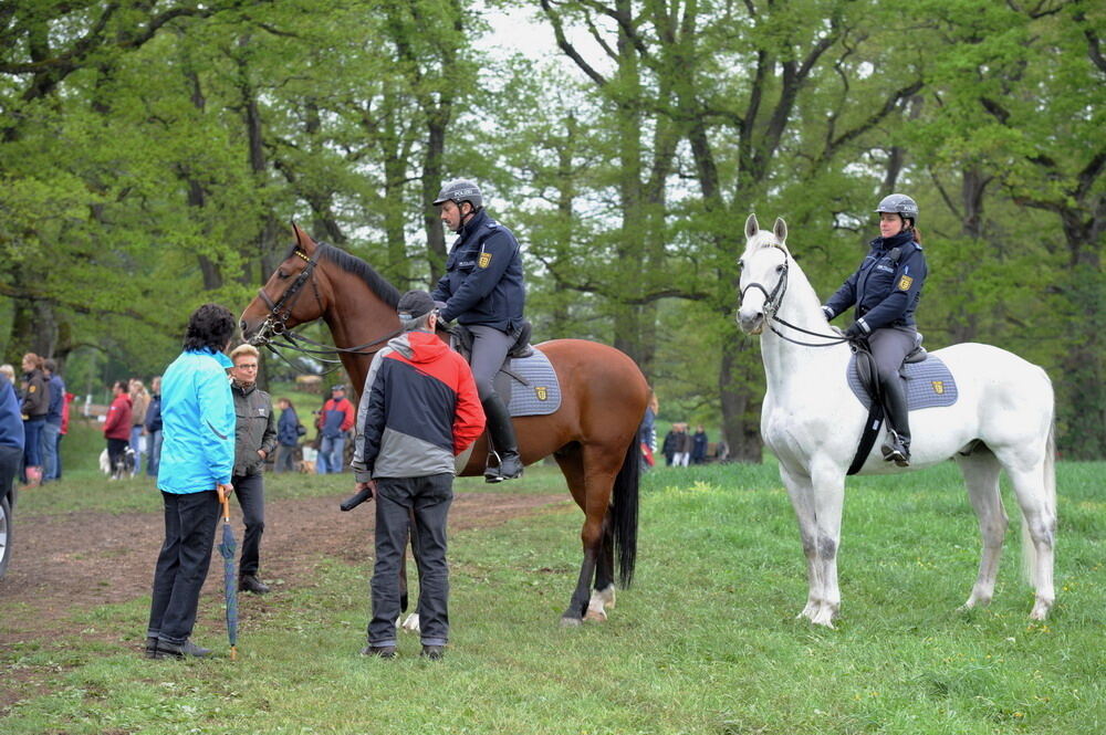 Internationale Marbacher Vielseitigkeit Mai 2012