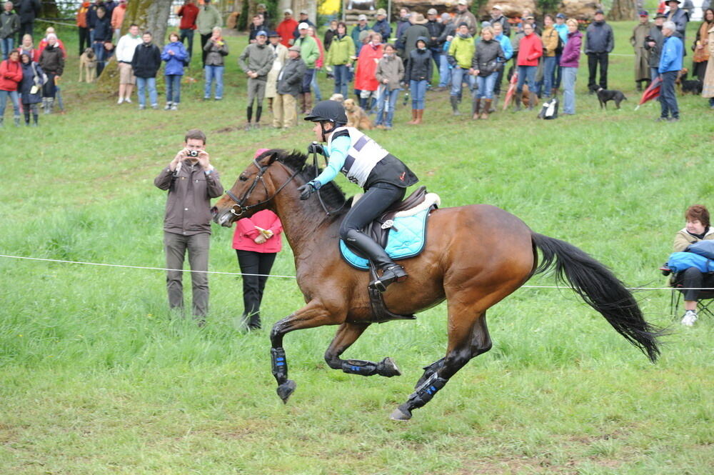 Internationale Marbacher Vielseitigkeit Mai 2012