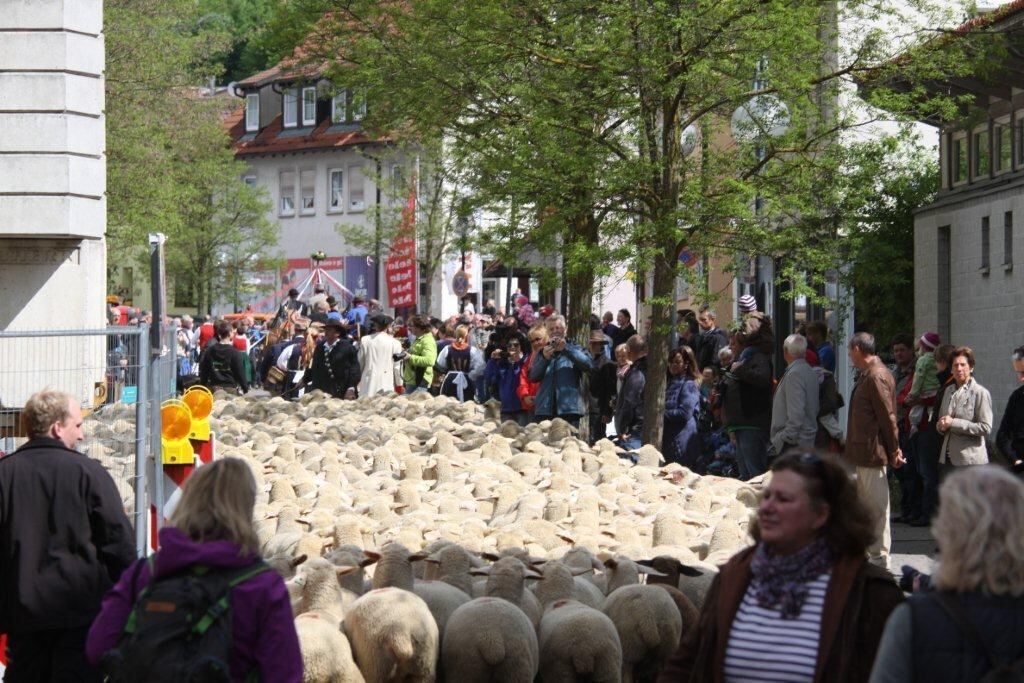 Superevent Münsingen Mai 2012