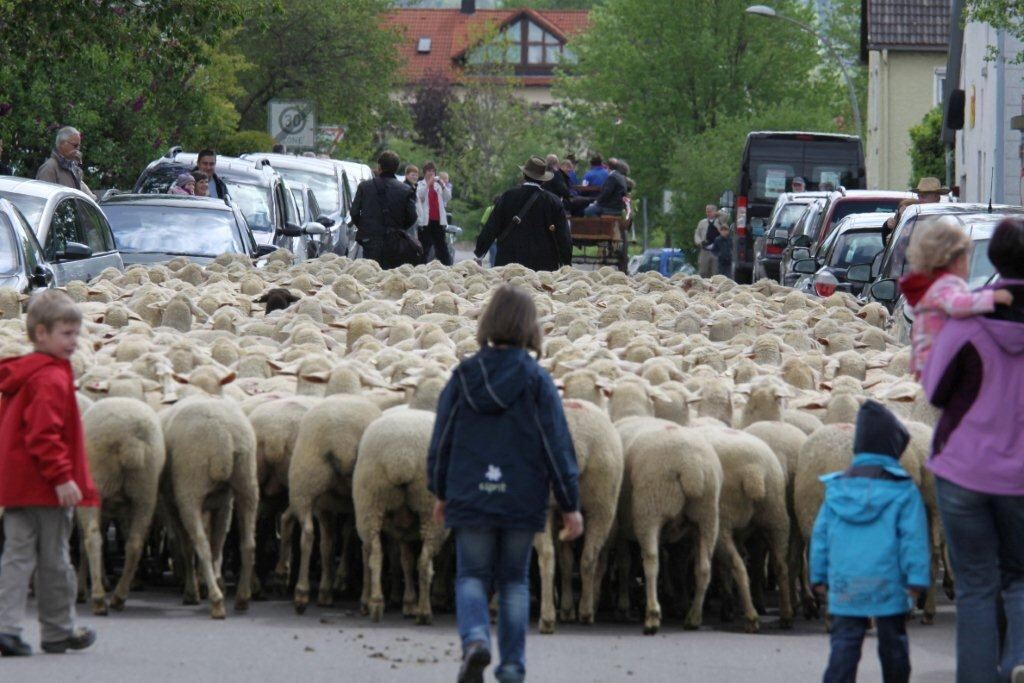 Superevent Münsingen Mai 2012