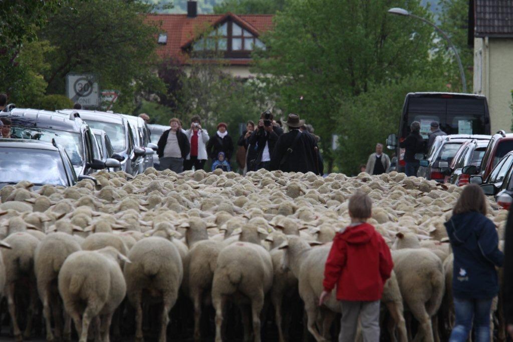 Superevent Münsingen Mai 2012