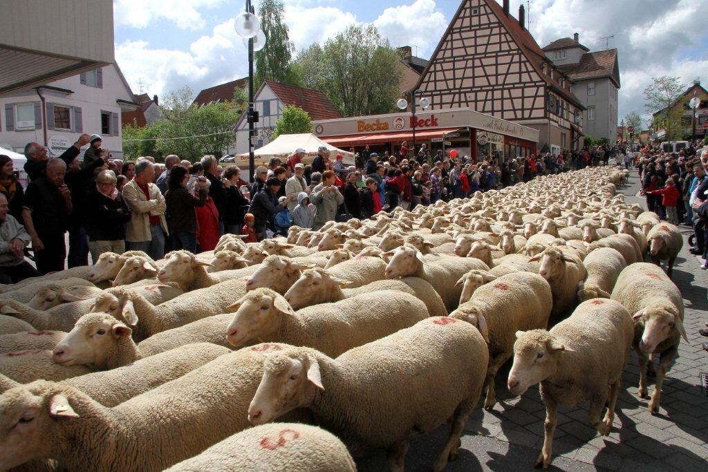 Superevent Münsingen Mai 2012