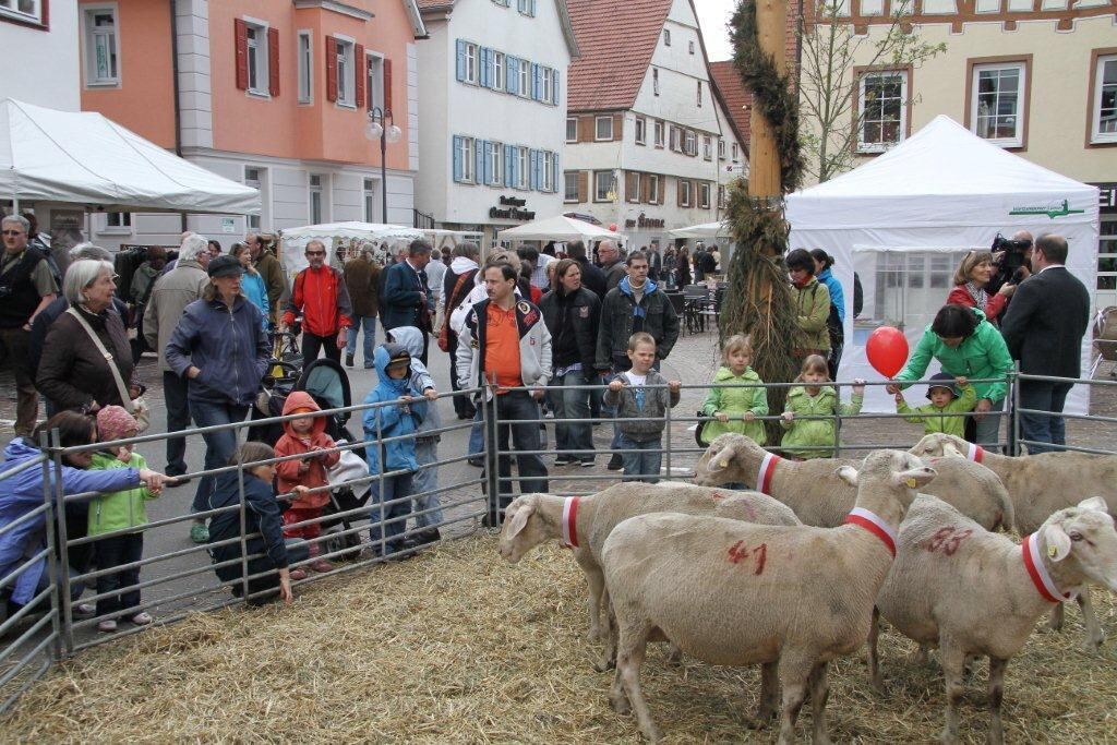 Superevent Münsingen Mai 2012