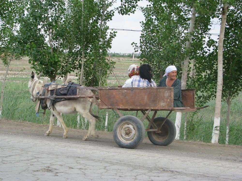 Leserreise Usbekistan 2012