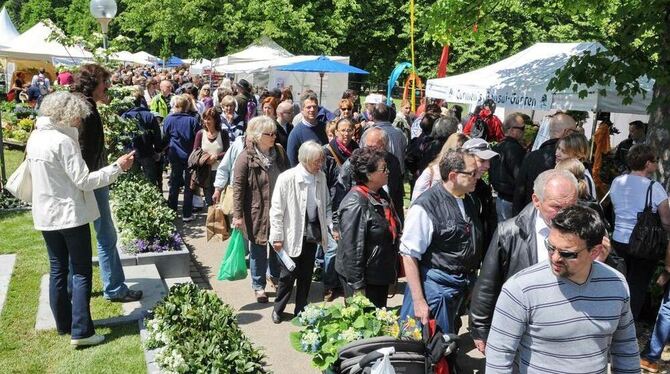 Publikumsmagnet »Garden Life«: Wo sollen die vielen Besucher parken? »Nicht auf unseren Stellplätzen!«, sagen die Anwohner und p