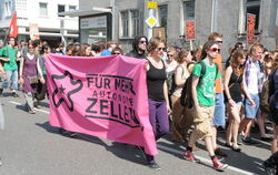 Zelle Demonstration Mai 2012