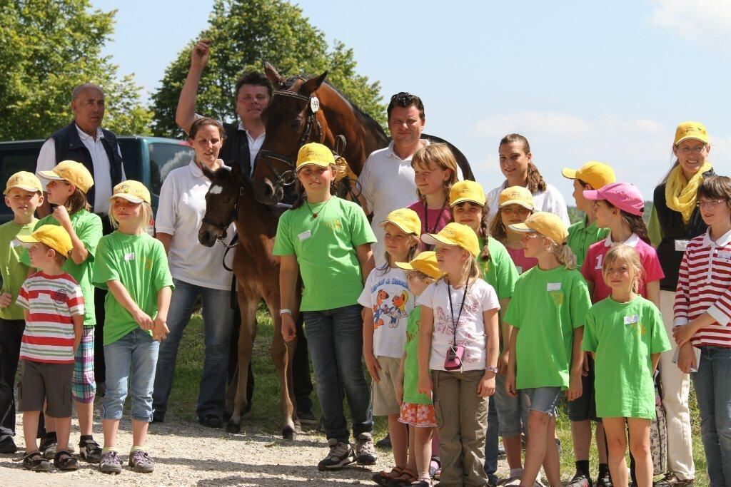 Fohlenschau Marbach