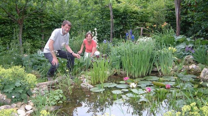 Ein Teich mit Seerosen und üppiger Uferbepflanzung zieht im Garten von Gisela und Ulrich Jäger die Blicke auf sich.