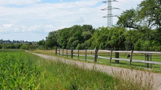 Noch beherrschen Wiesen und Felder die Landschaft zwischen Pfullingen und Eningen. Der Pfullinger Gemeinderat hat jetzt dafür ge