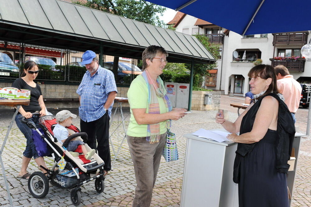 Orts-Check Lokaltermin Pliezhausen Juni 2012