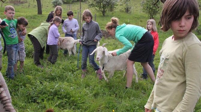 Leibhaftige Tiere: Der Listhof bringt Kindern die Natur näher. FOTO: LEISTER