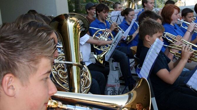 Pompöse Filmmusik und satter Sound: Das Blasorchester der Musikschulen Pfullingen und Eningen begeisterte das Publikum.