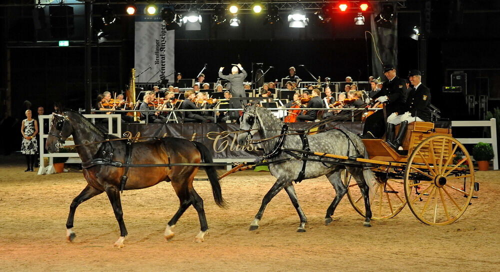 Marbach Classics 2012