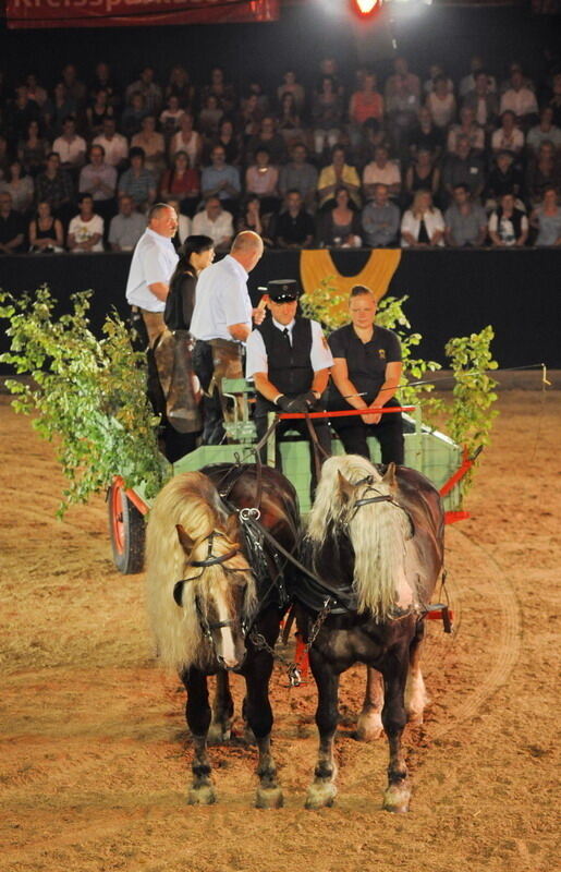 Marbach Classics 2012