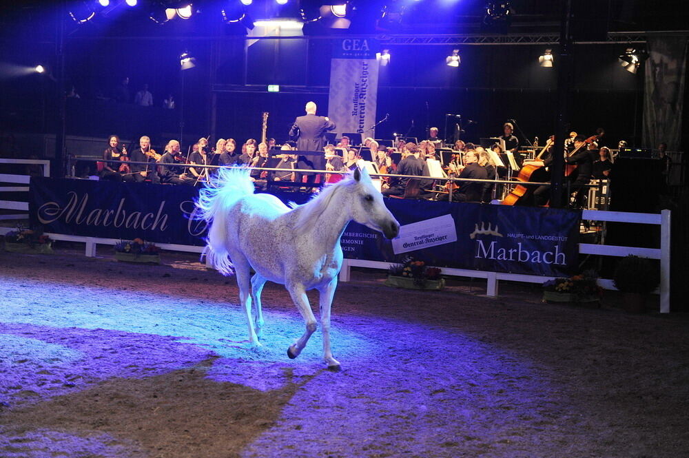 Marbach Classics 2012