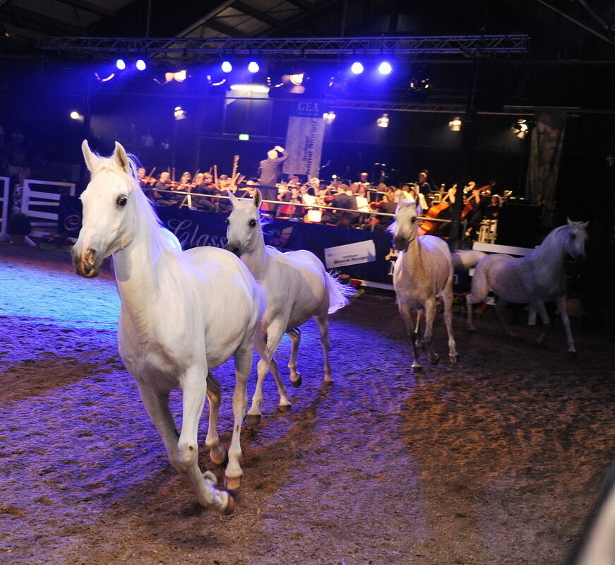 Marbach Classics 2012