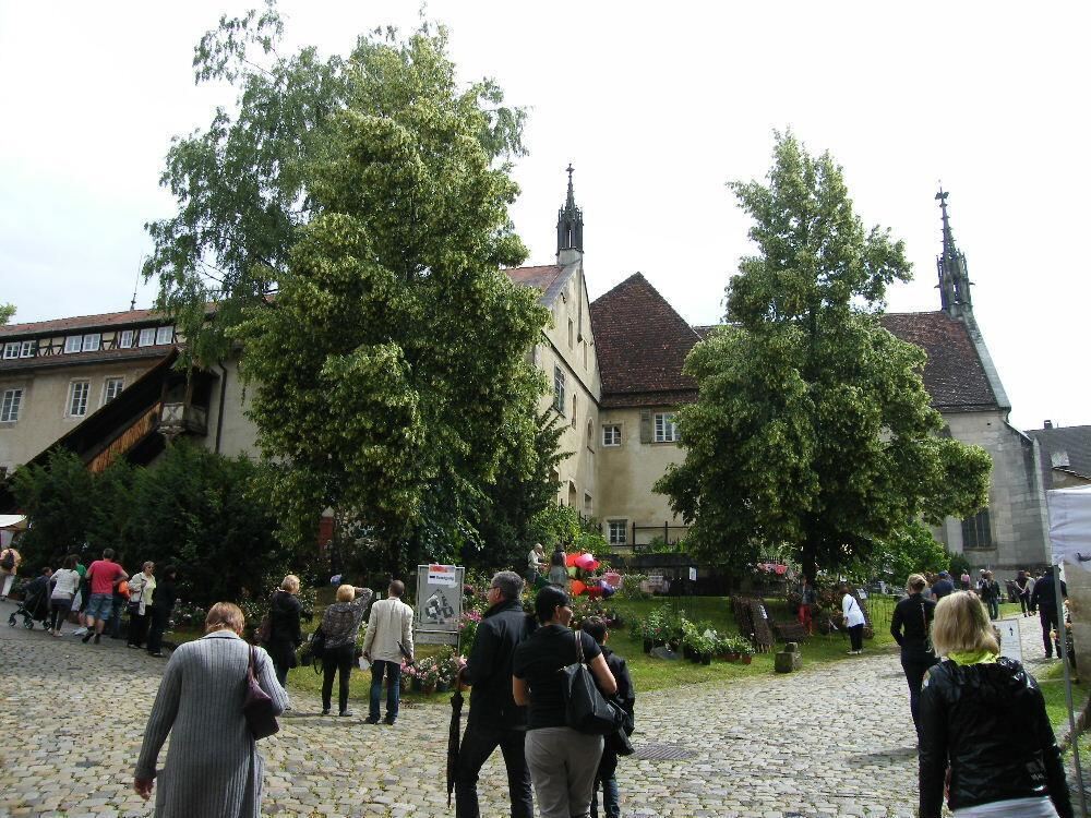 Rosenfest Kloster Bebenhausen 2012