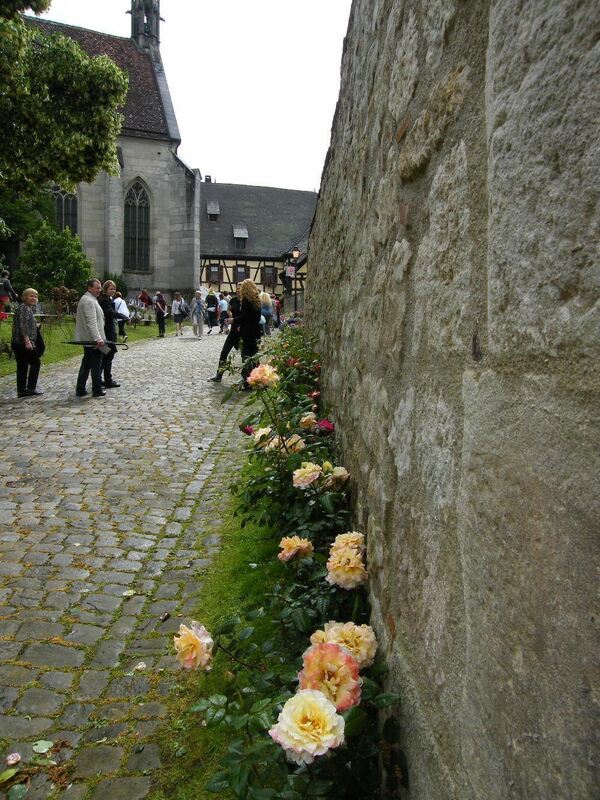 Rosenfest Kloster Bebenhausen 2012