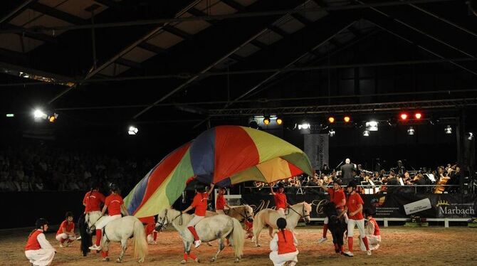 Ein Bild in allen Farben des Regenbogens: Das Ponyteam der Reitervereinigung Biberach zeigte, wie man auf kleinen Pferden ganz g