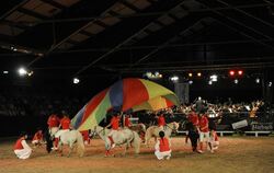 Ein Bild in allen Farben des Regenbogens: Das Ponyteam der Reitervereinigung Biberach zeigte, wie man auf kleinen Pferden ganz g