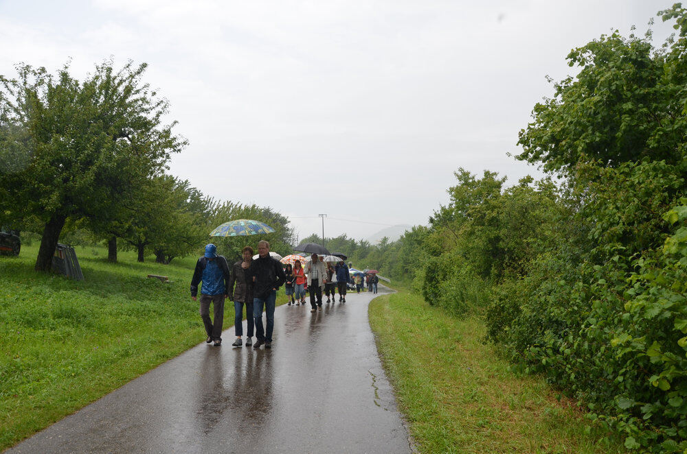 Kirschenfest Dettingen Juli 2012