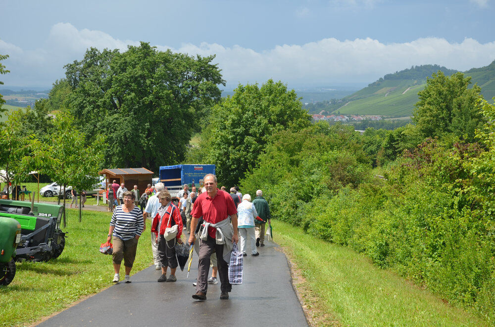 Kirschenfest Dettingen Juli 2012