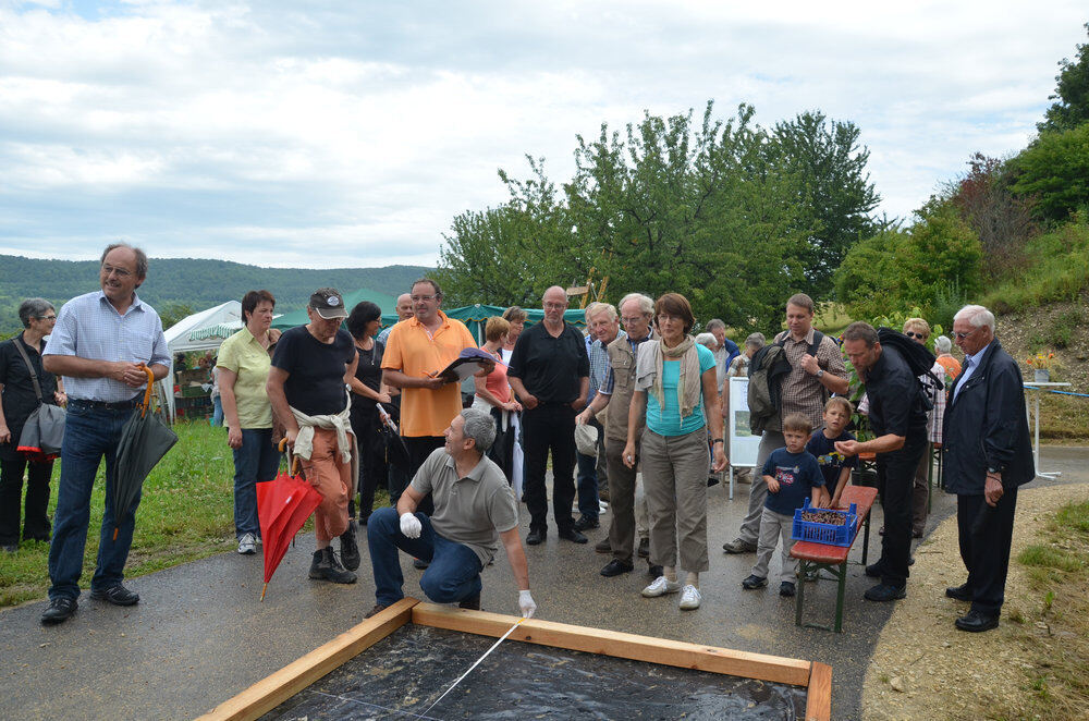 Kirschenfest Dettingen Juli 2012