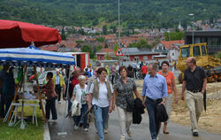 Kirschenfest Dettingen Juli 2012