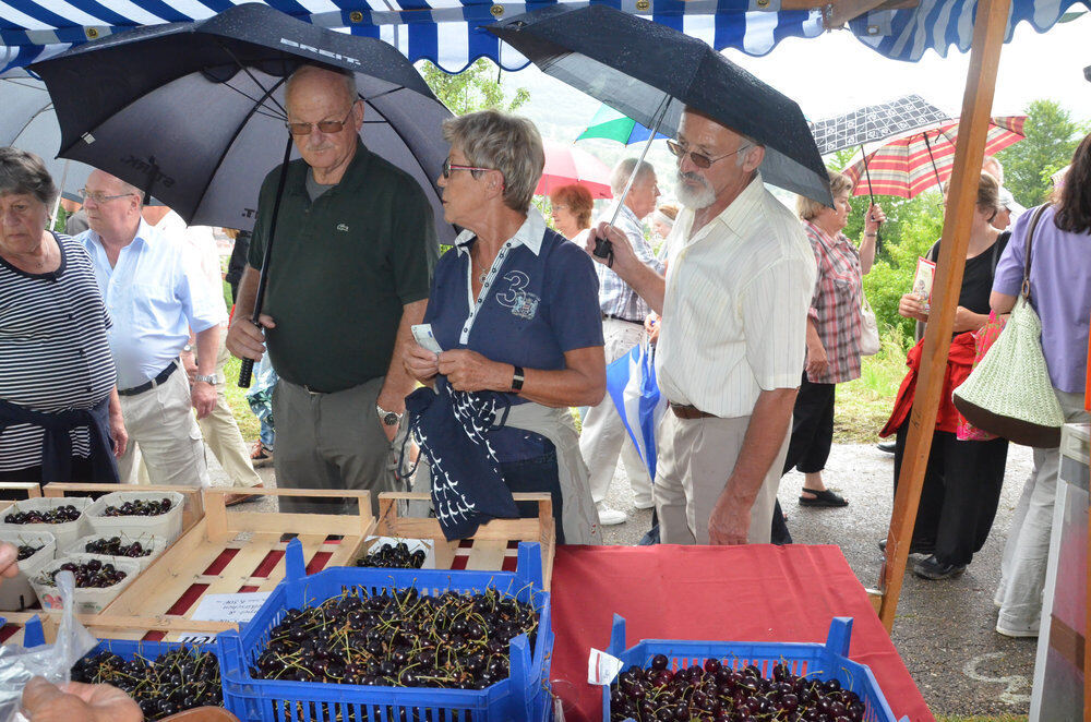 Kirschenfest Dettingen Juli 2012