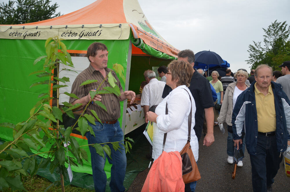 Kirschenfest Dettingen Juli 2012