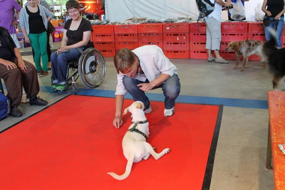 Messe Mein Hund Reutlingen Juli 2012