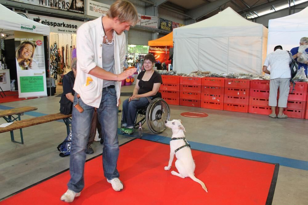 Messe Mein Hund Reutlingen Juli 2012