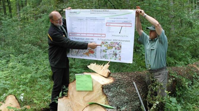 Im Hohensteiner Wald soll die Fichte ihren Platz behalten, wie Forsteinrichter Hubertus von der Goltz (links) und Revierförster