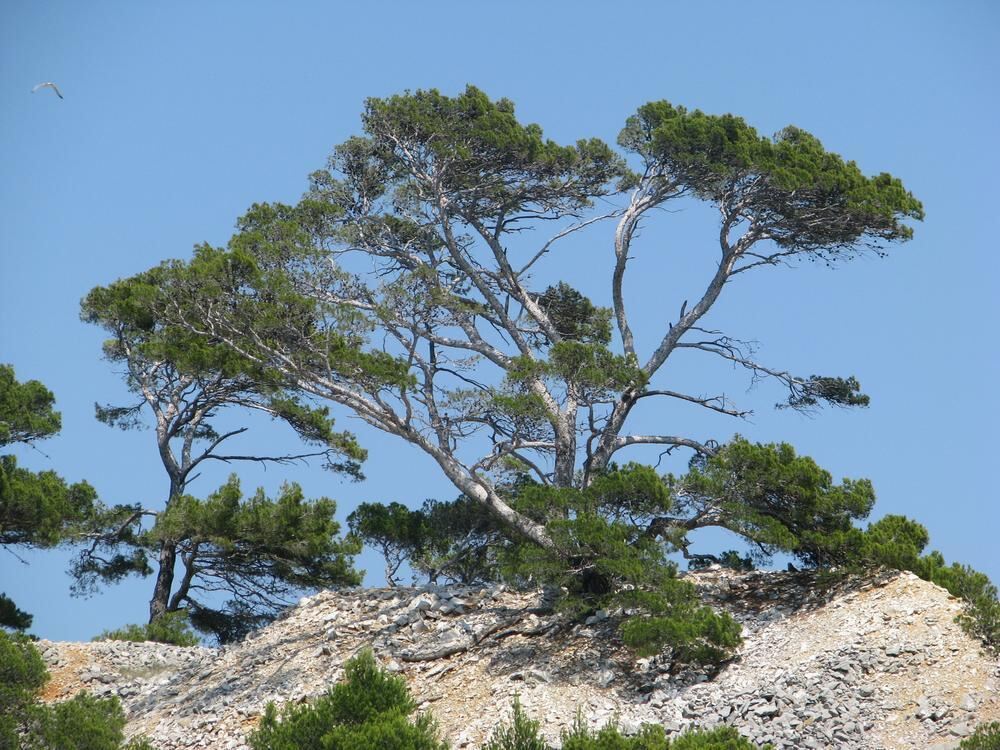 Leserreise Provence 2012