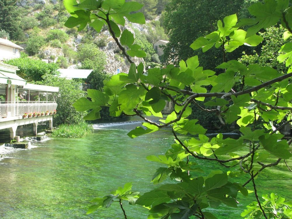 Leserreise Provence 2012