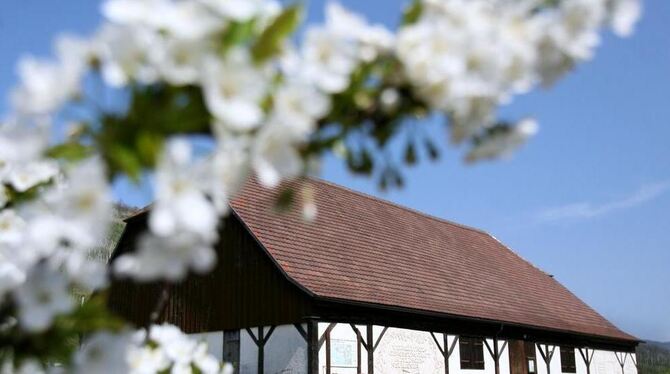 Pro Woche eine Exkursion: Dabei werden auch die Keltern in Neuhausen geöffnet. FOTO: PR