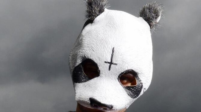 Der Mann mit der Panda Maske. Foto: Bernd Weißbrod